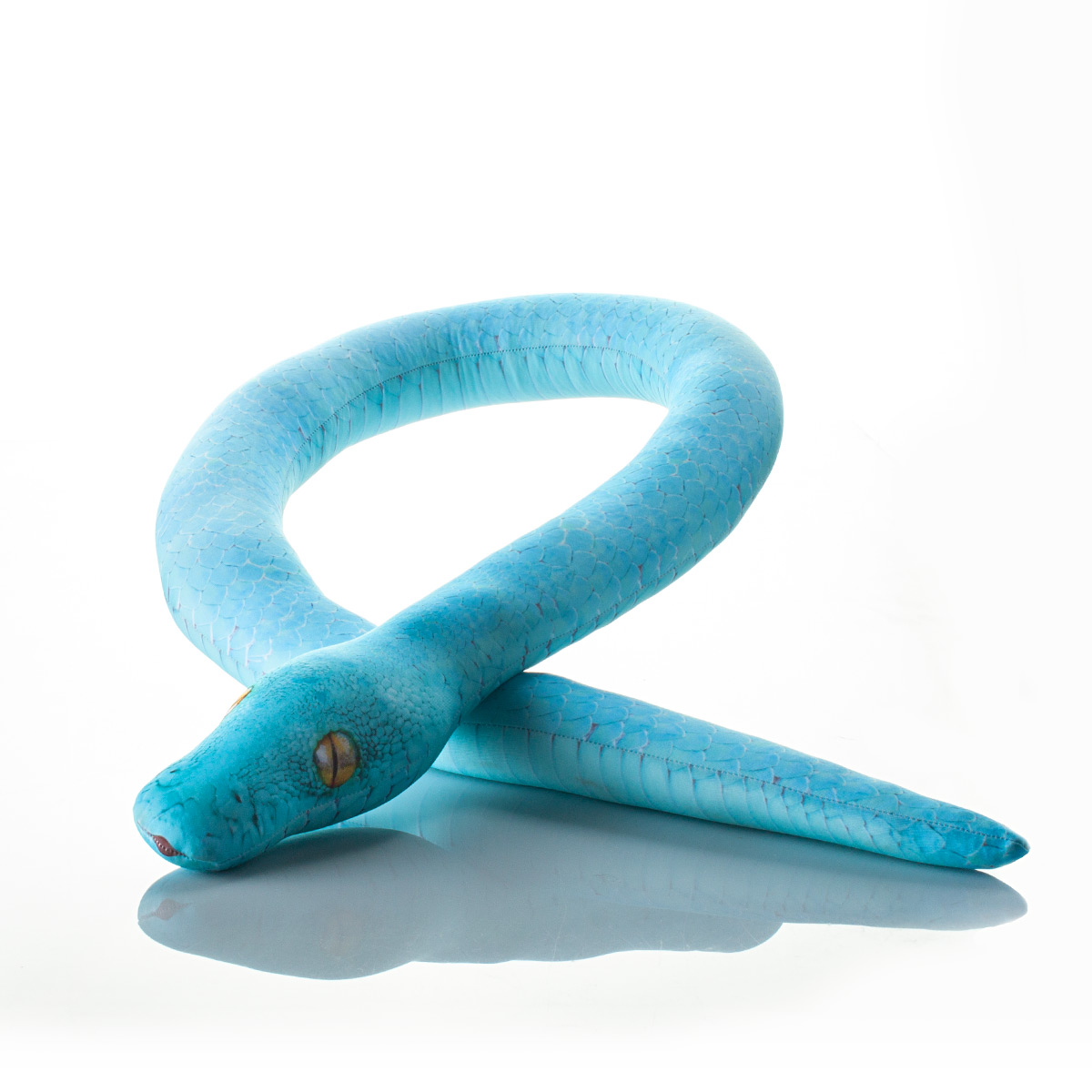 507 Настоящая большая змея Голубая Екатерина 3