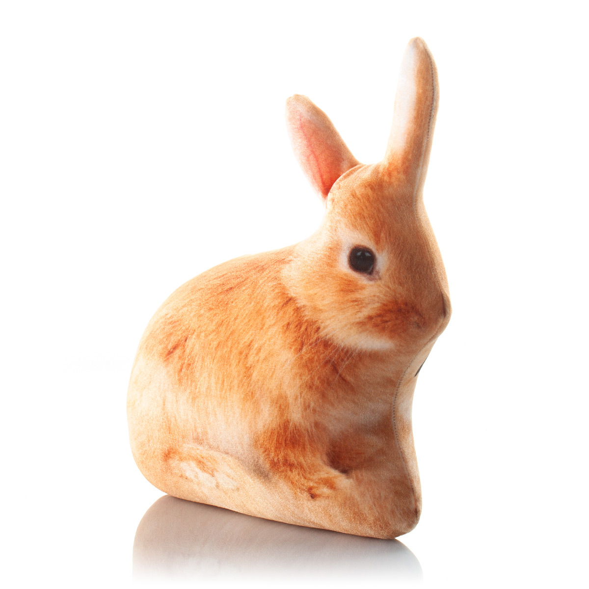 372 Настоящий Заяц 1