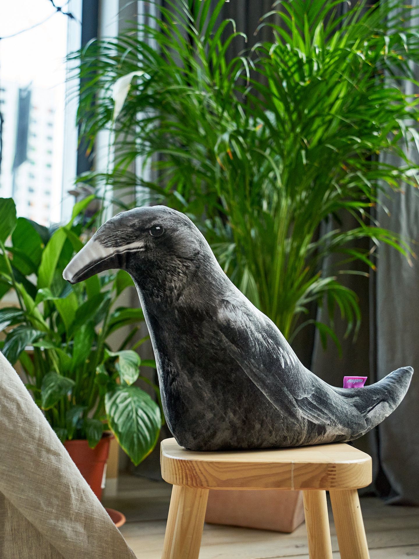 250 Настоящий Ворон 4