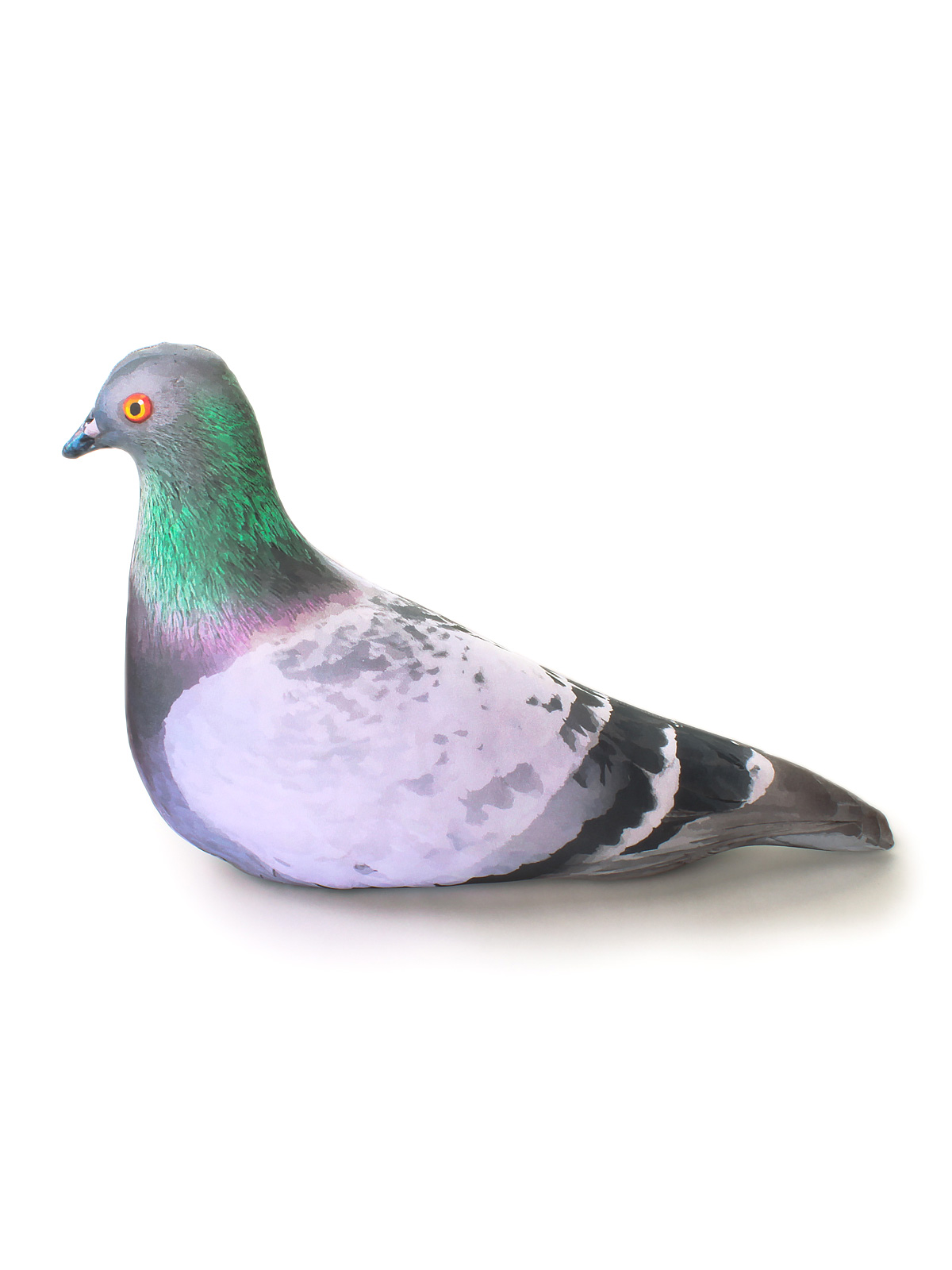 1 Голубь сизый 1