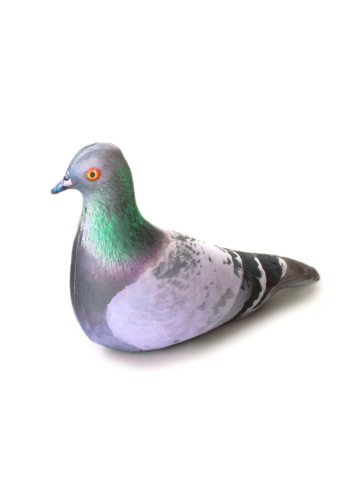 1 Голубь сизый 2