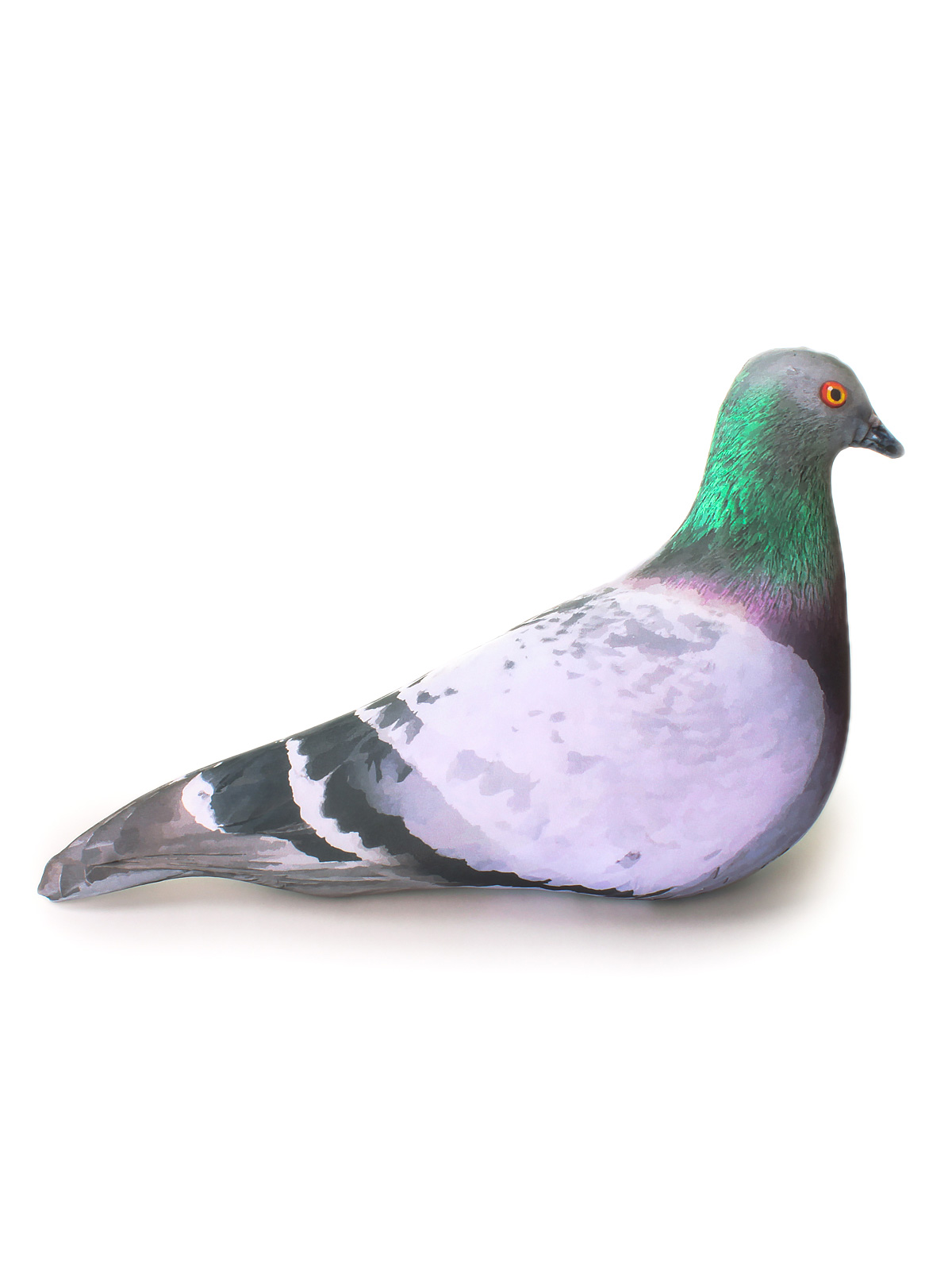 1 Голубь сизый 4