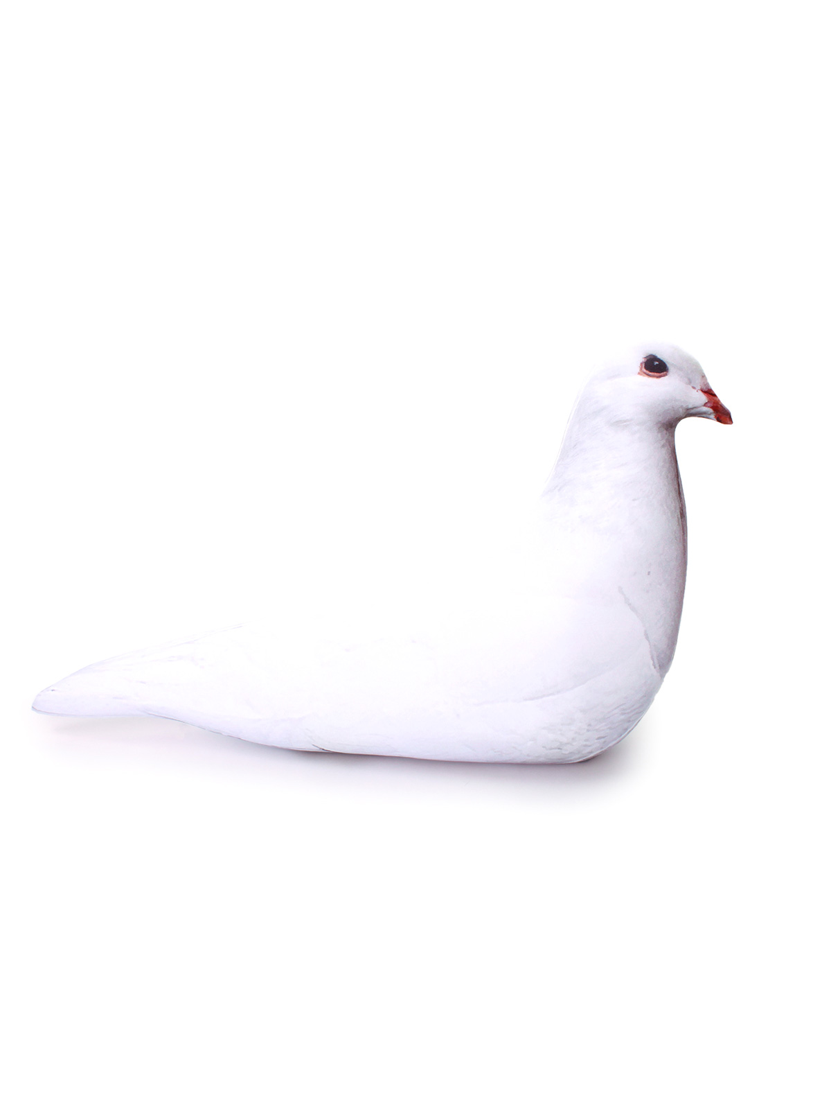 2 Голубь белый 5