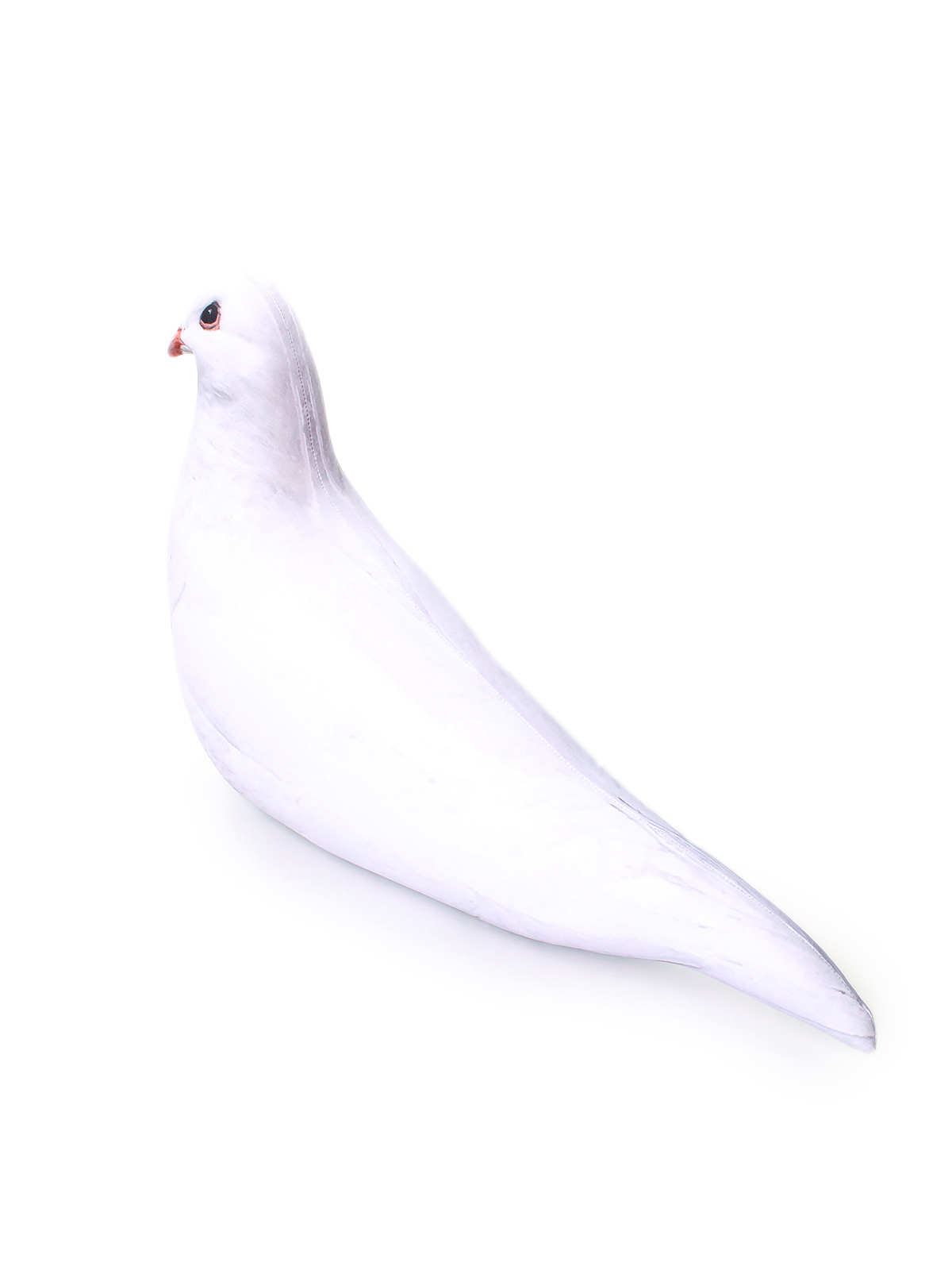 2 Голубь белый 4