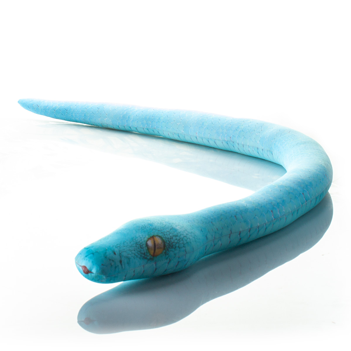 507 Настоящая большая змея Голубая Екатерина 1