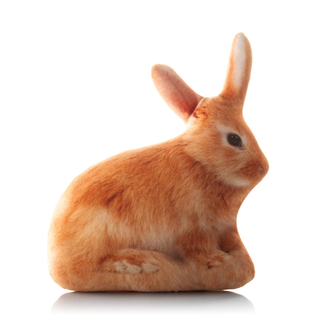 372 Настоящий Заяц 3