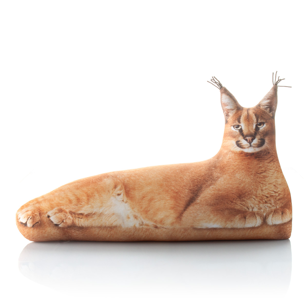 380 Настоящий Каракал с Пельменями 2