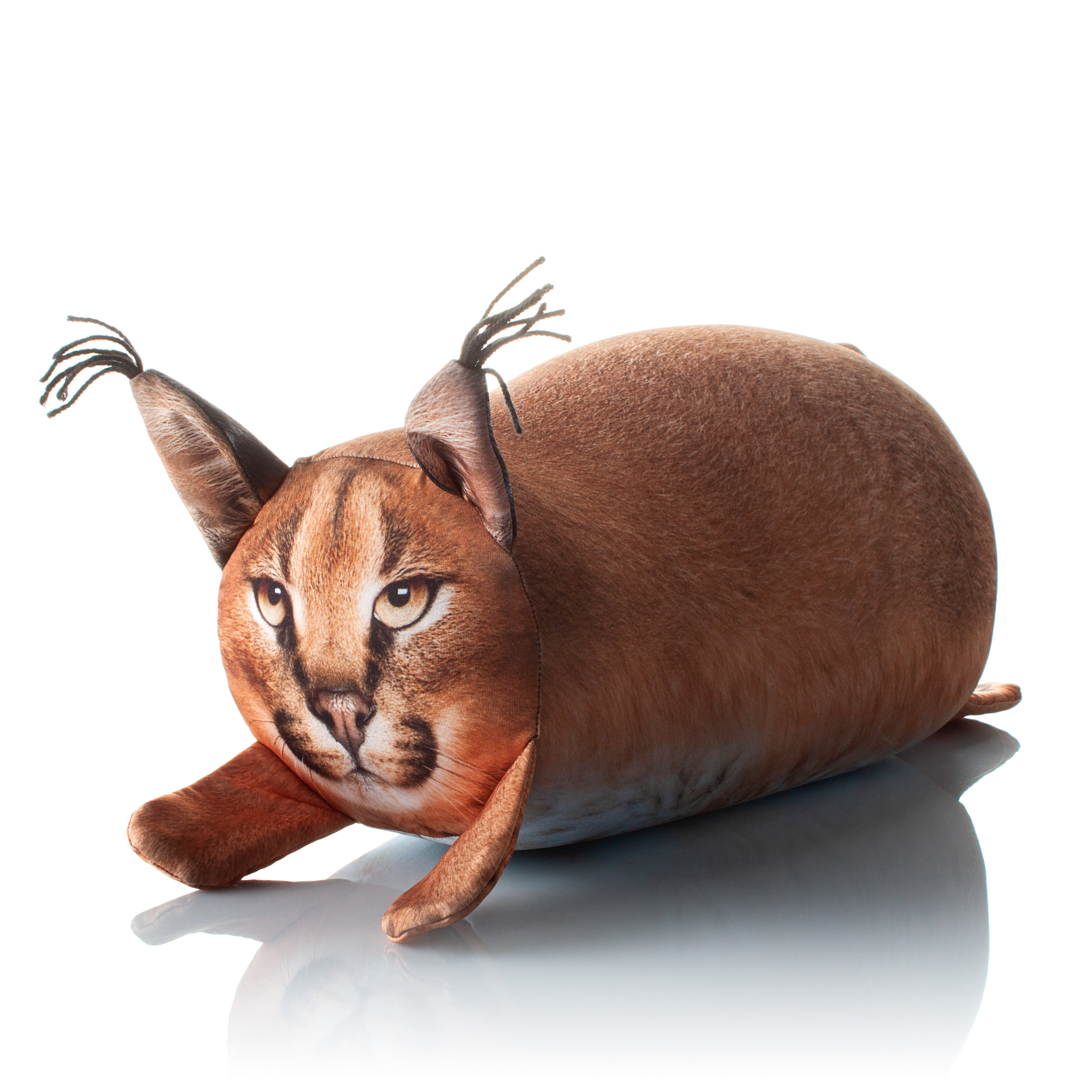 396 Сытая Рысь 1