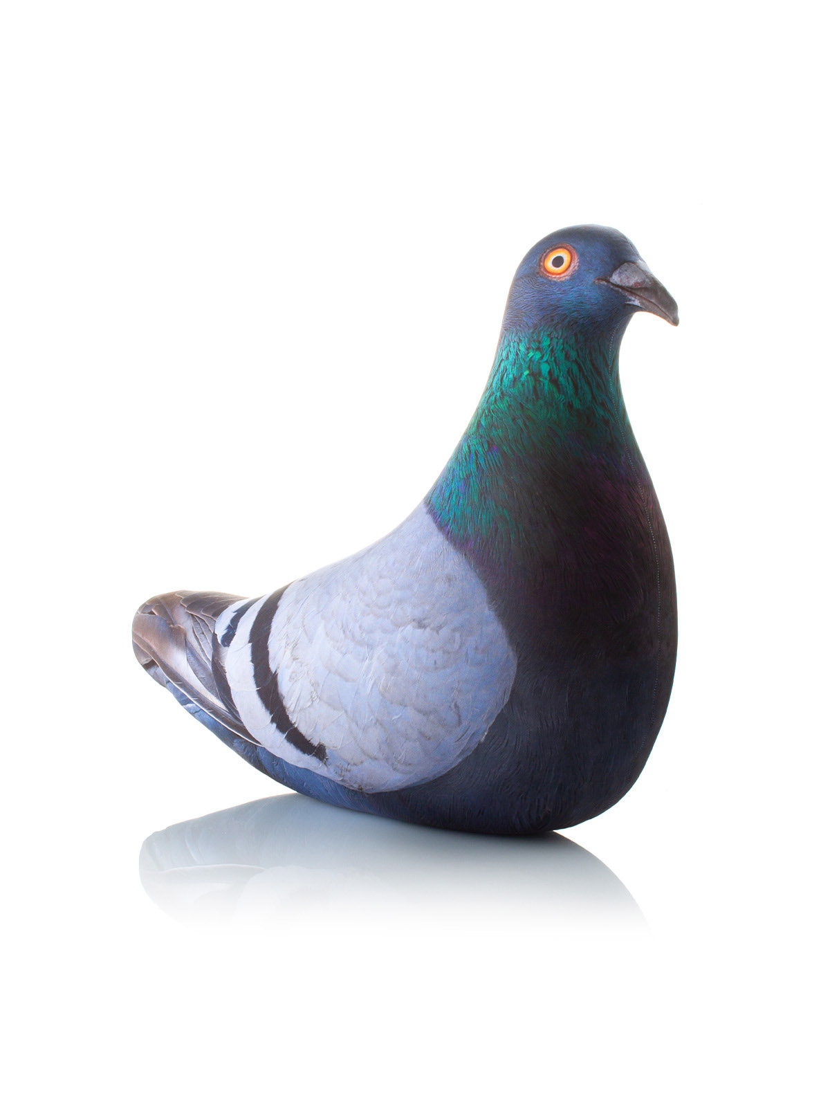 306 Голубь Сизый XL 3