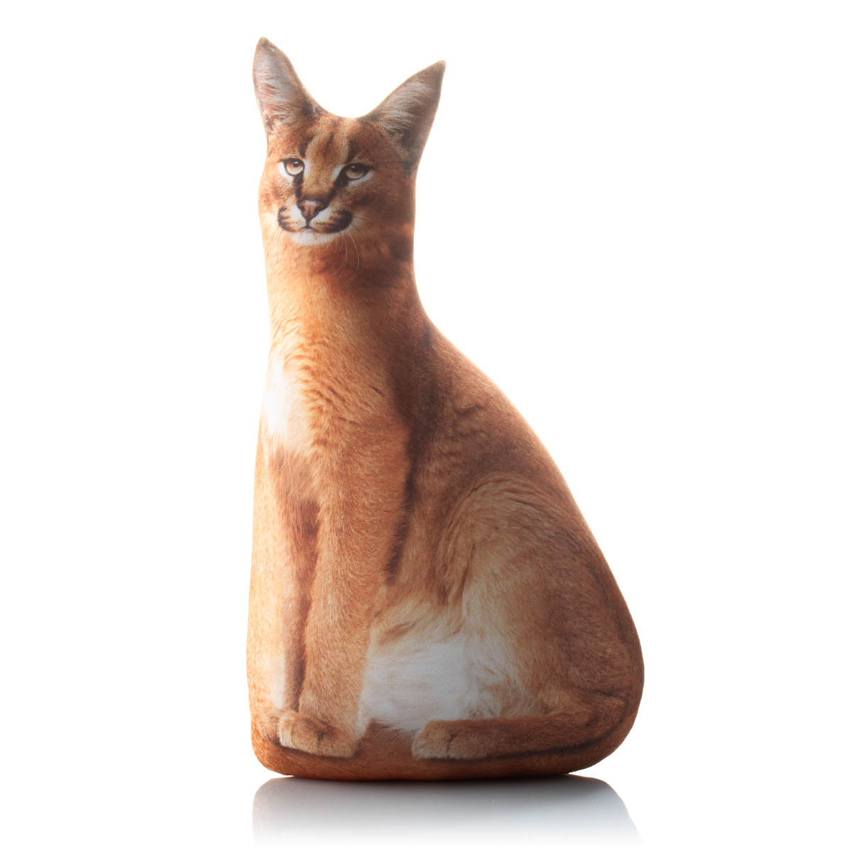 379 Настоящий Каракал 1