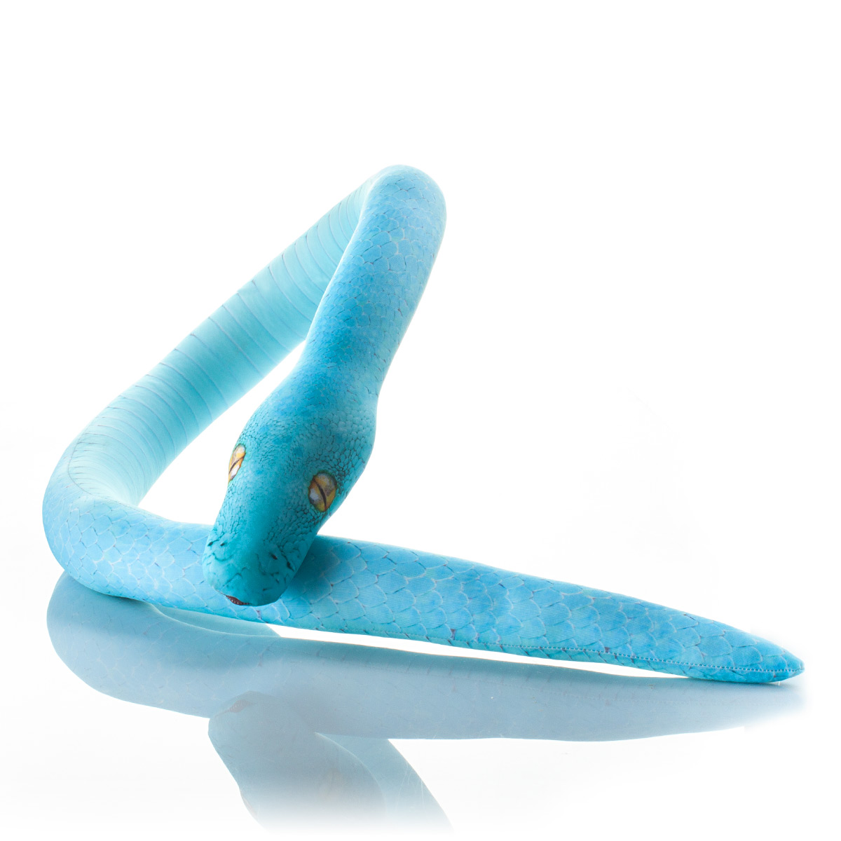 507 Настоящая большая змея Голубая Екатерина 2