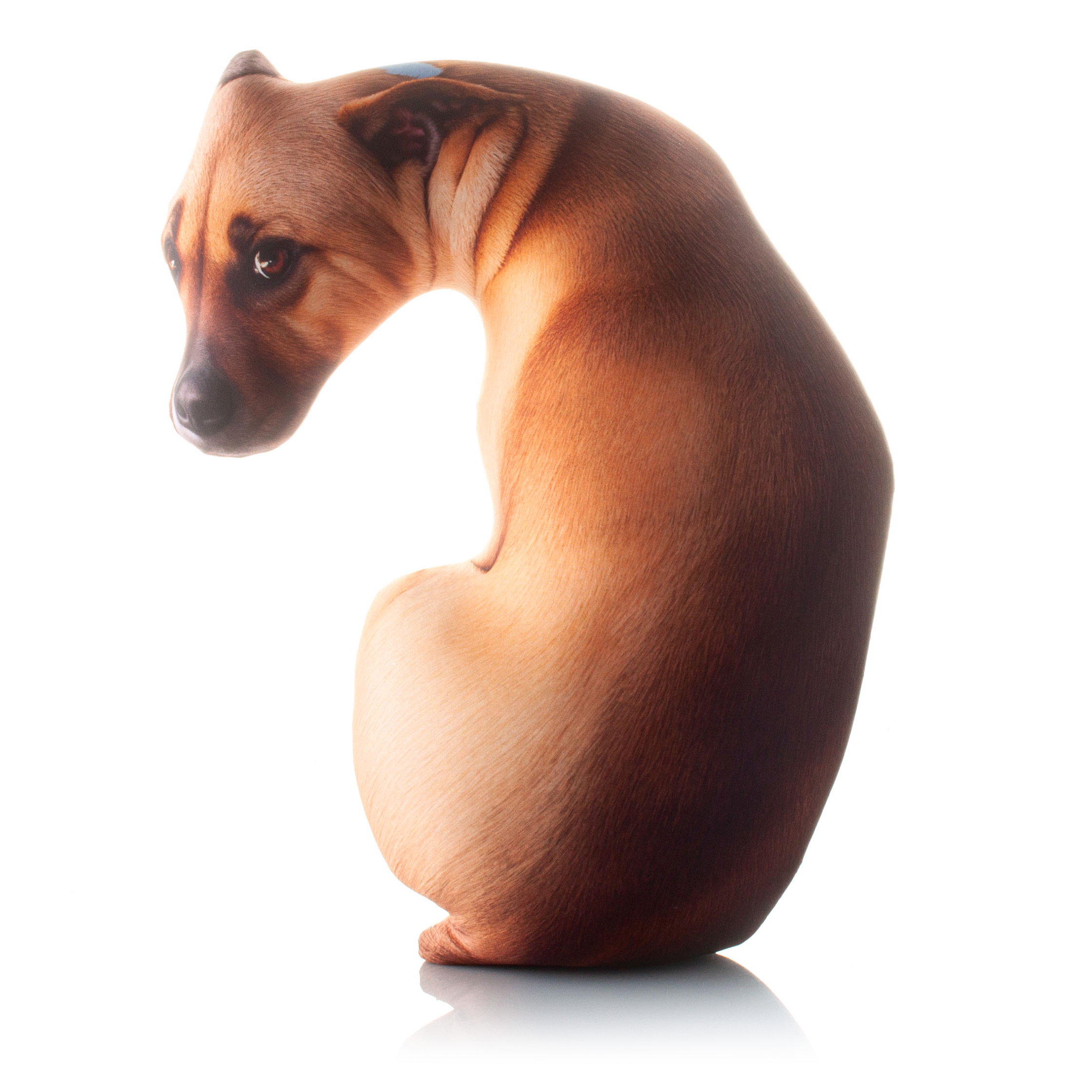 455 Настоящая Собачка Оглядывается 1