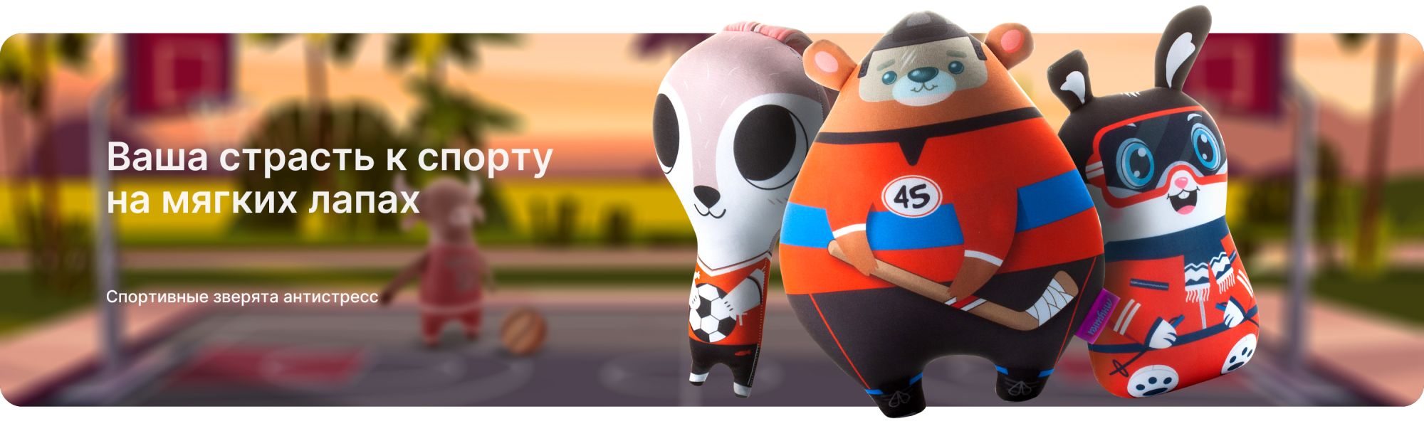 Спорт