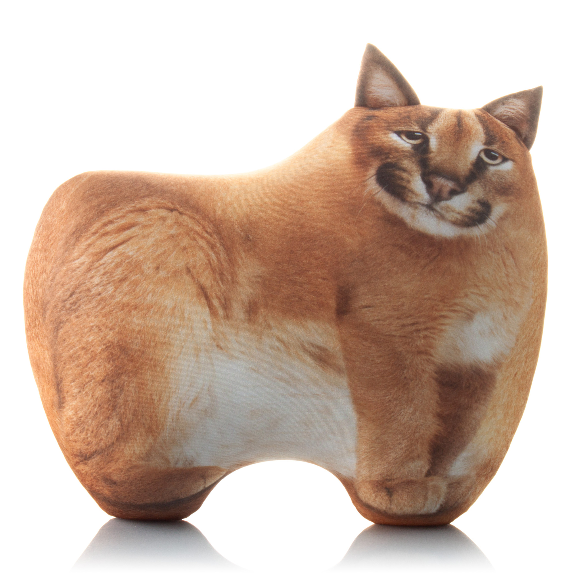 393 Рысь с Пельменями внутри 2