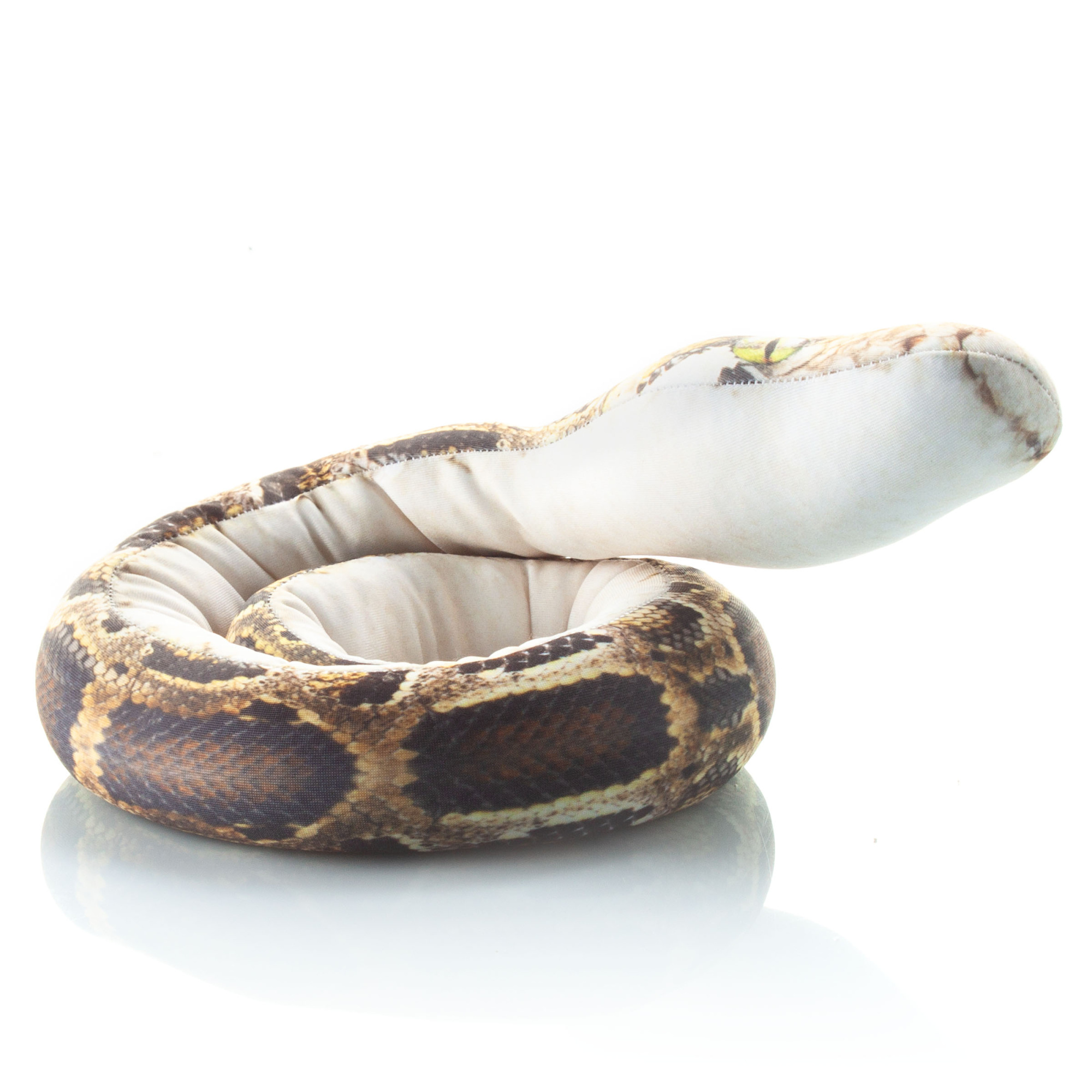 517 Настоящая малая змея Пятнистая Анна 3