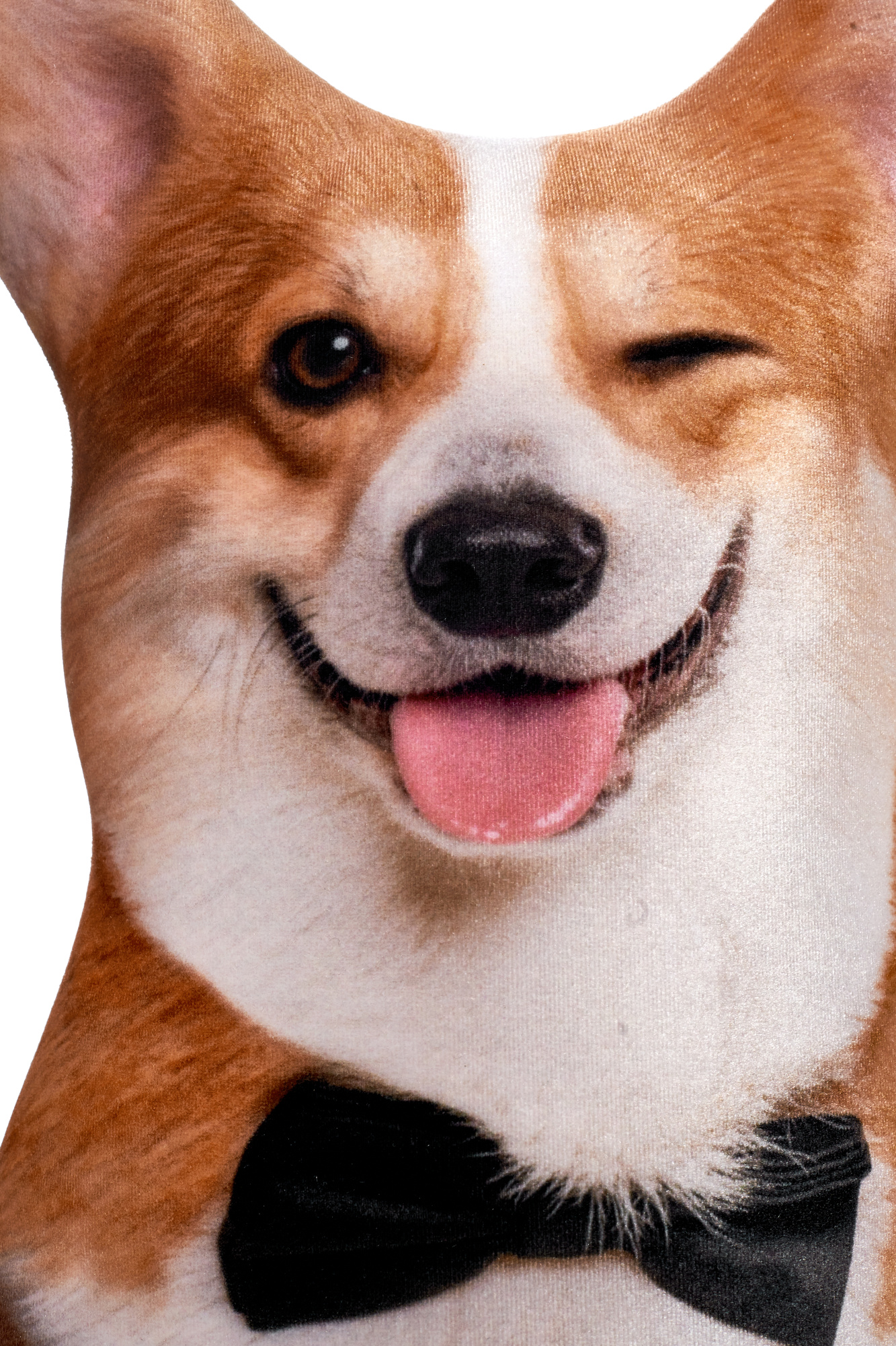 239 Настоящий Корги 5