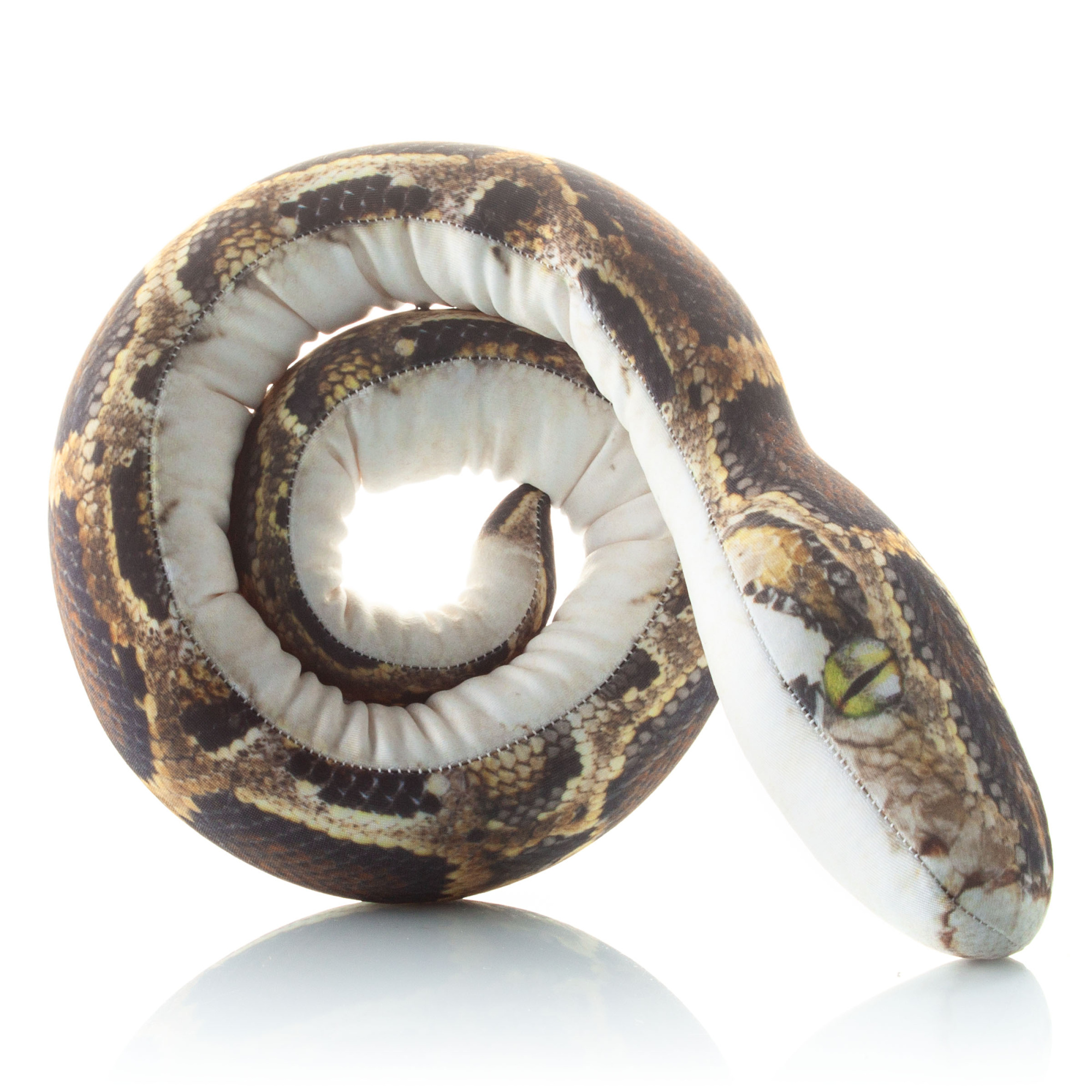 517 Настоящая малая змея Пятнистая Анна 2