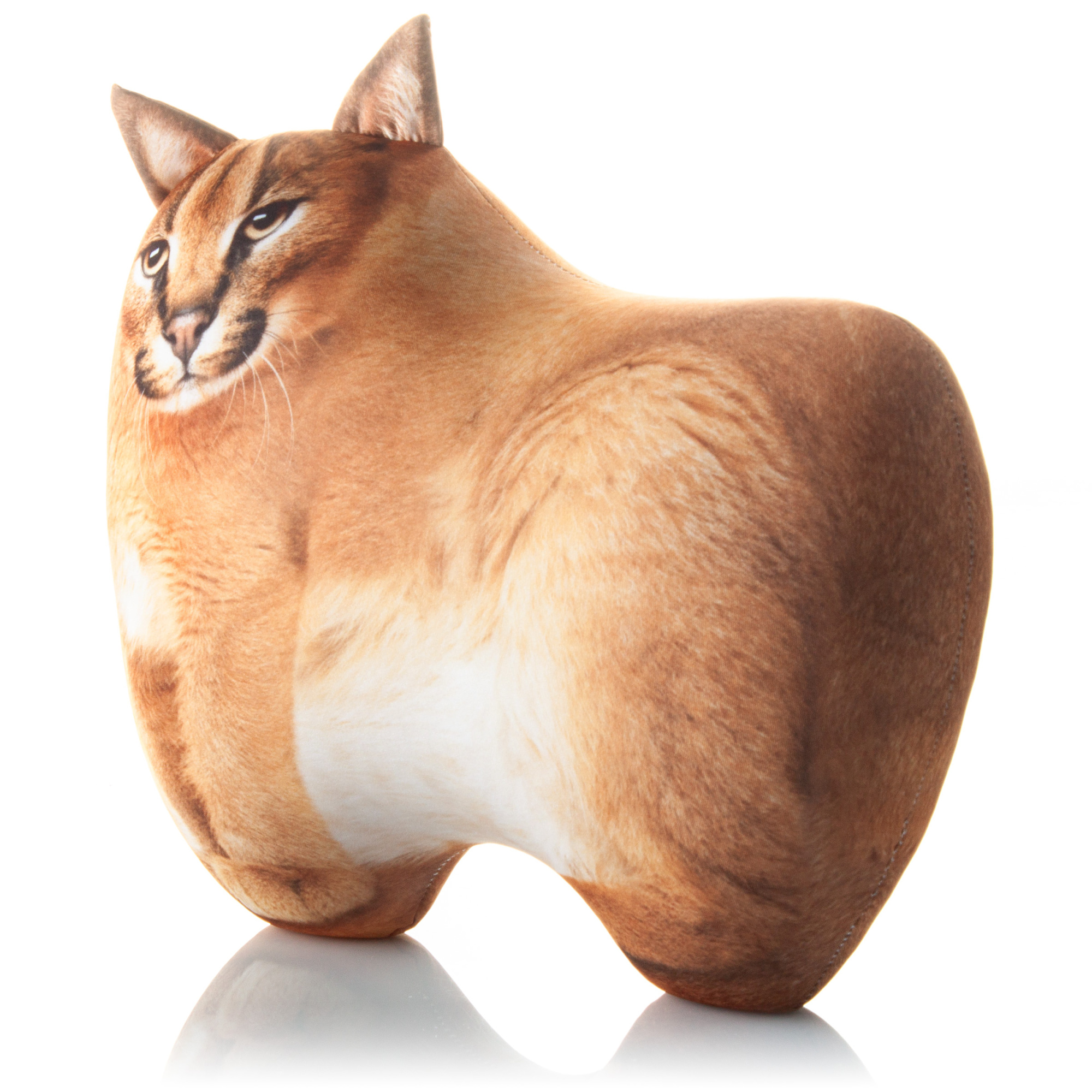 393 Рысь с Пельменями внутри 3