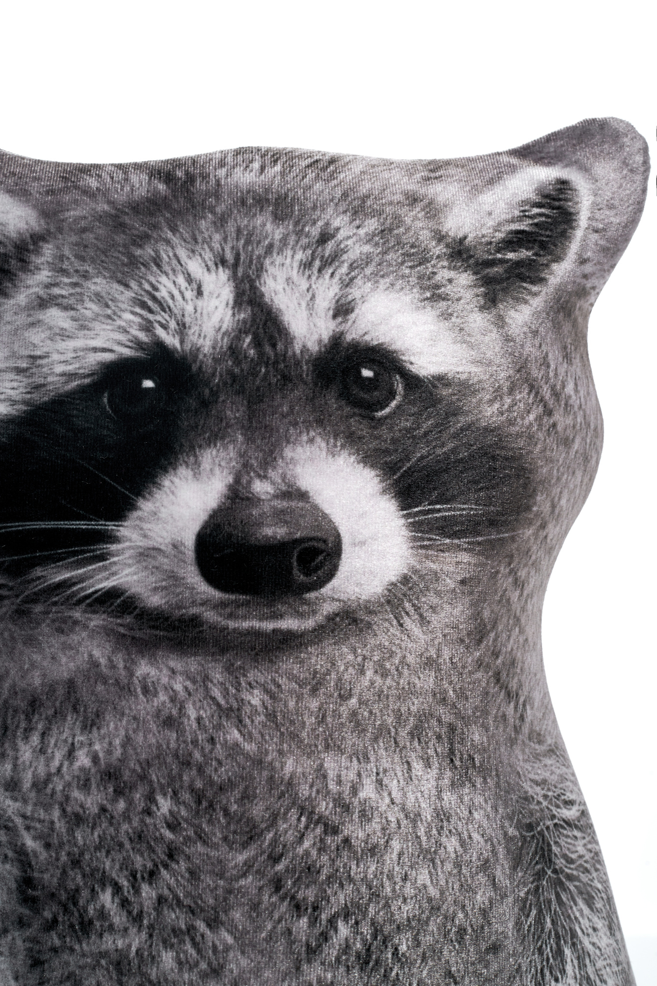 247 Настоящий Енот 5