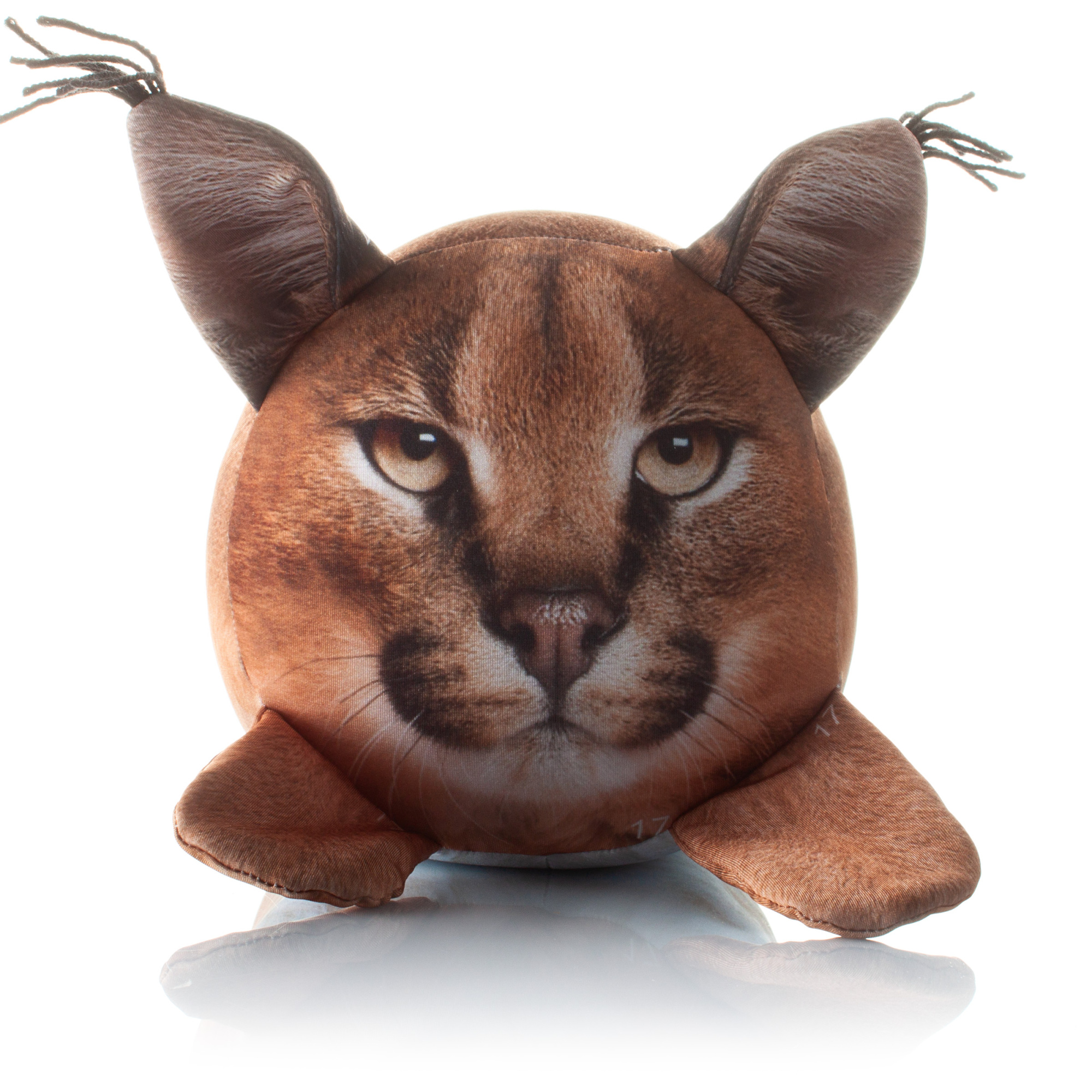 395 Большая Рысь 2