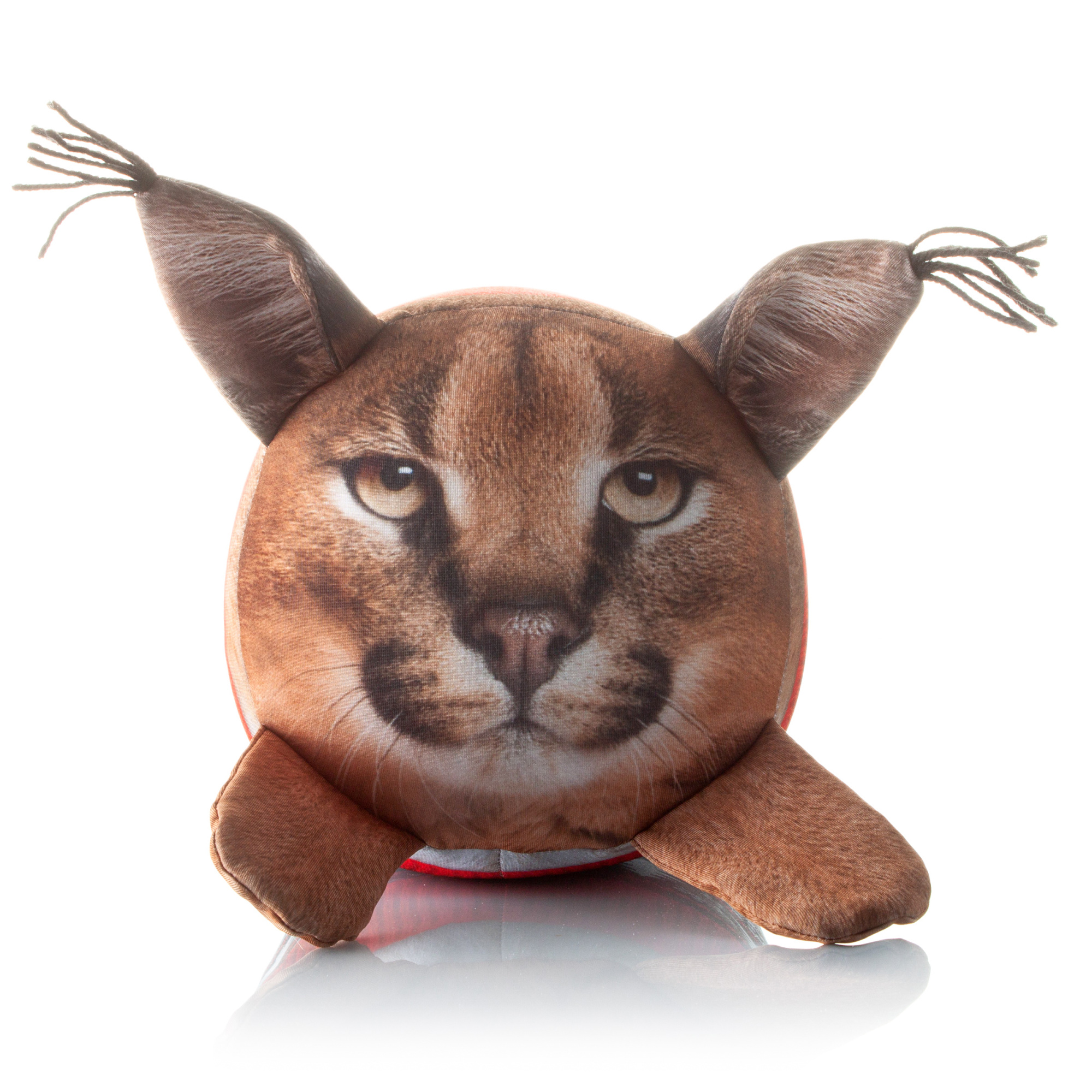 402 Настоящая Рысь в Свитере 2