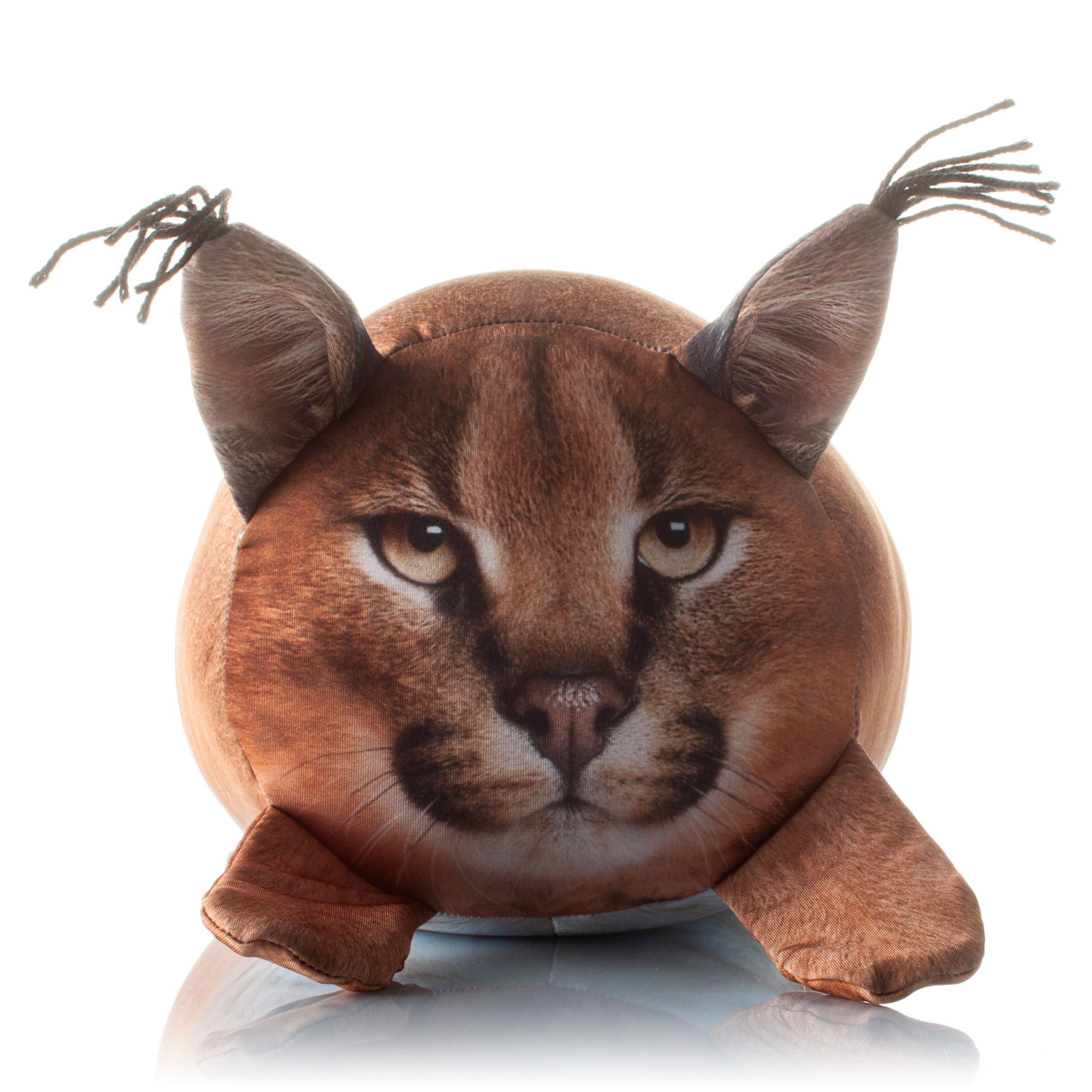 396 Сытая Рысь 2