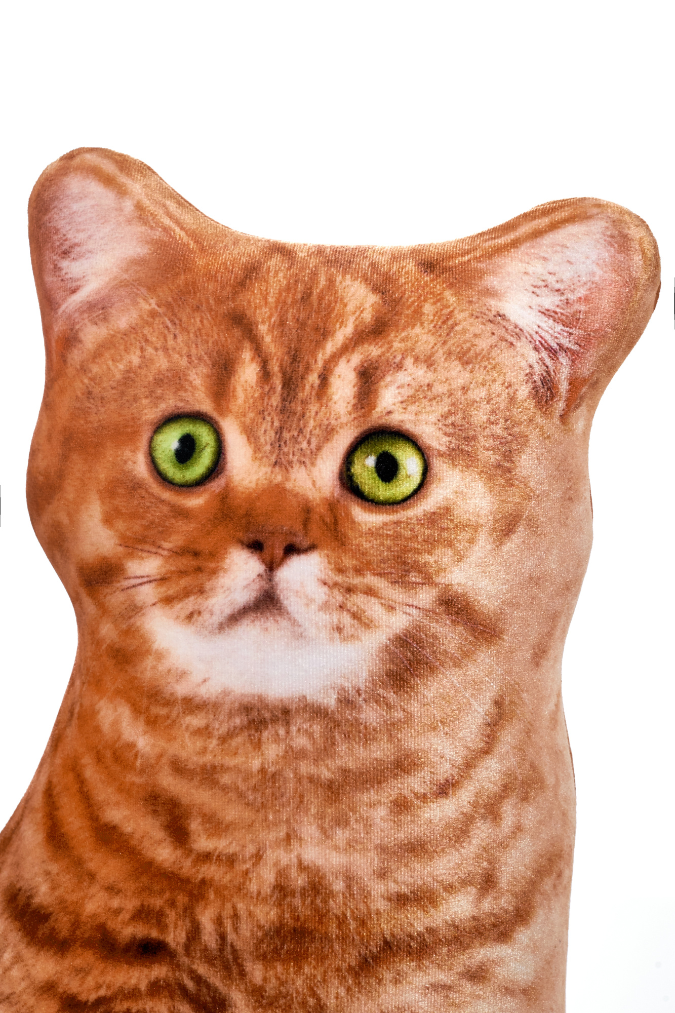 242 Настоящий Рыжий Кот 5