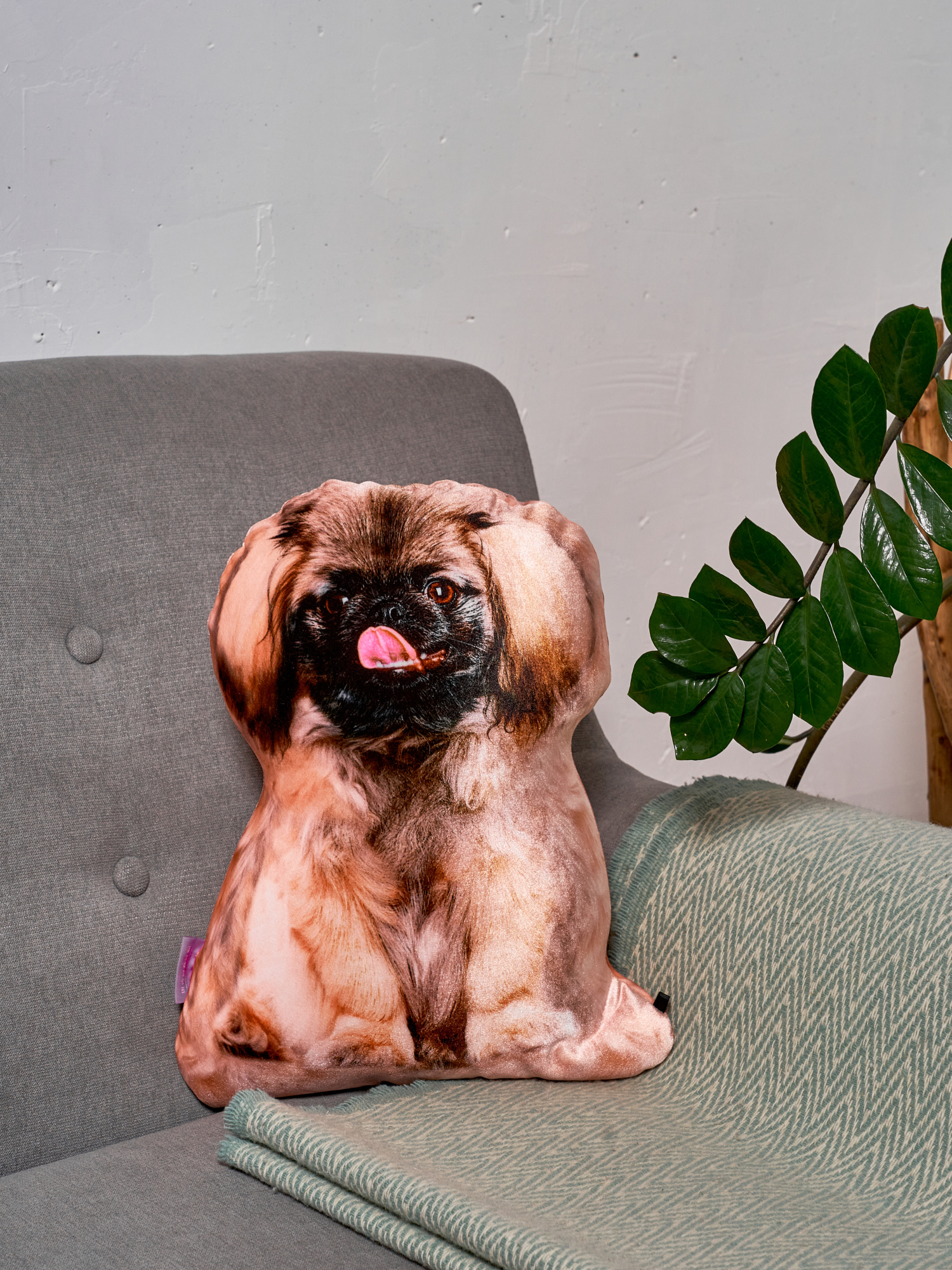 248 Настоящий Пекинес 3