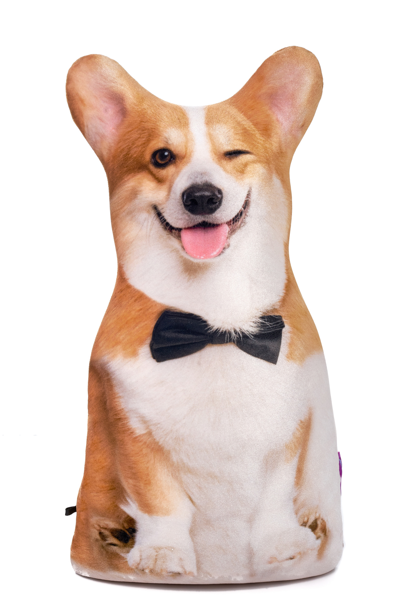 239 Настоящий Корги 1