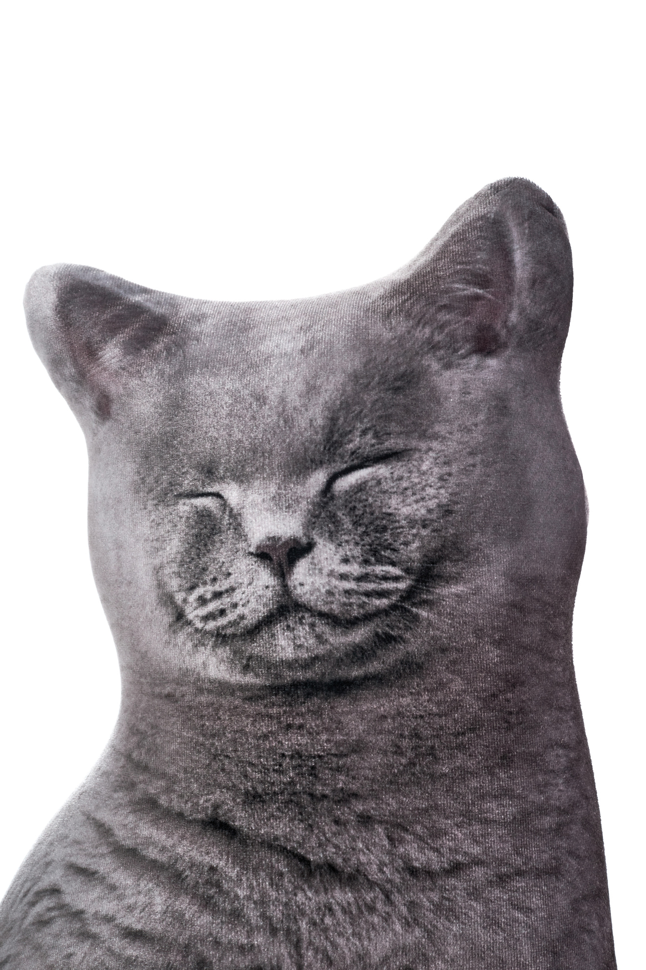 241 Настоящий Серый Кот 5