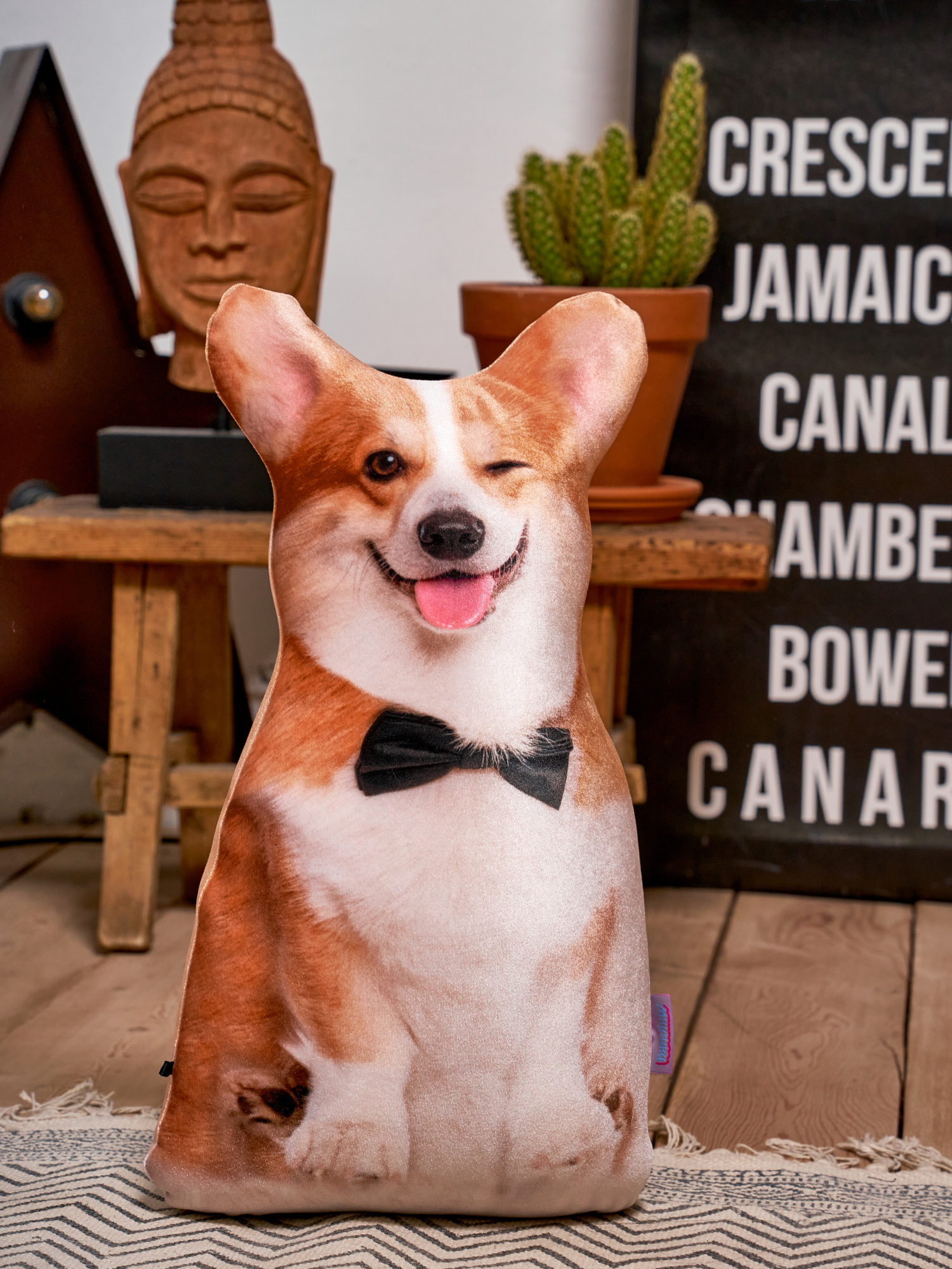 239 Настоящий Корги 3