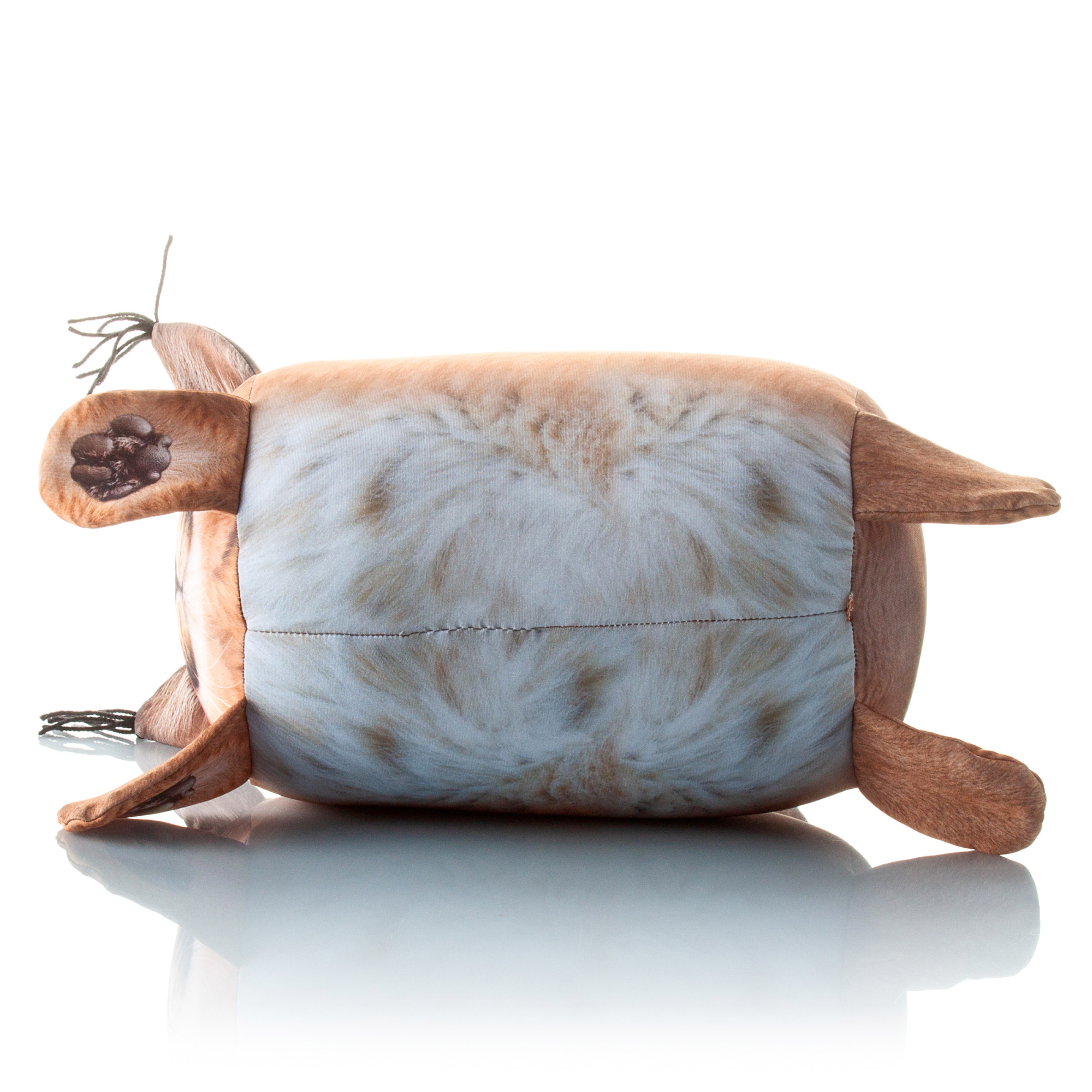 403 Рысь Прекрасный 5