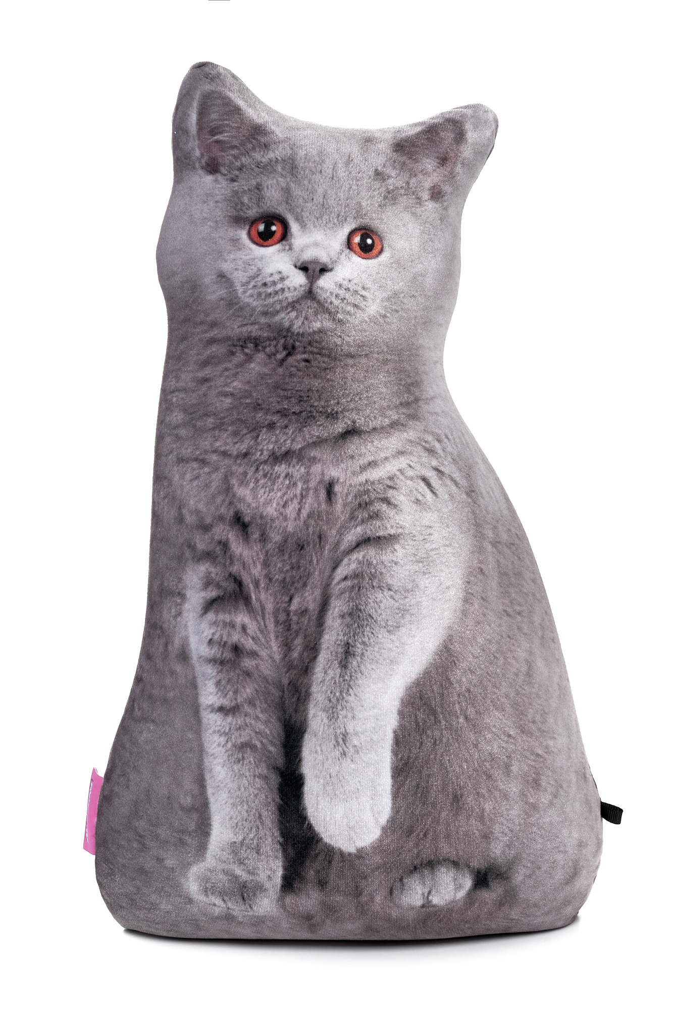 241 Настоящий Серый Кот 2