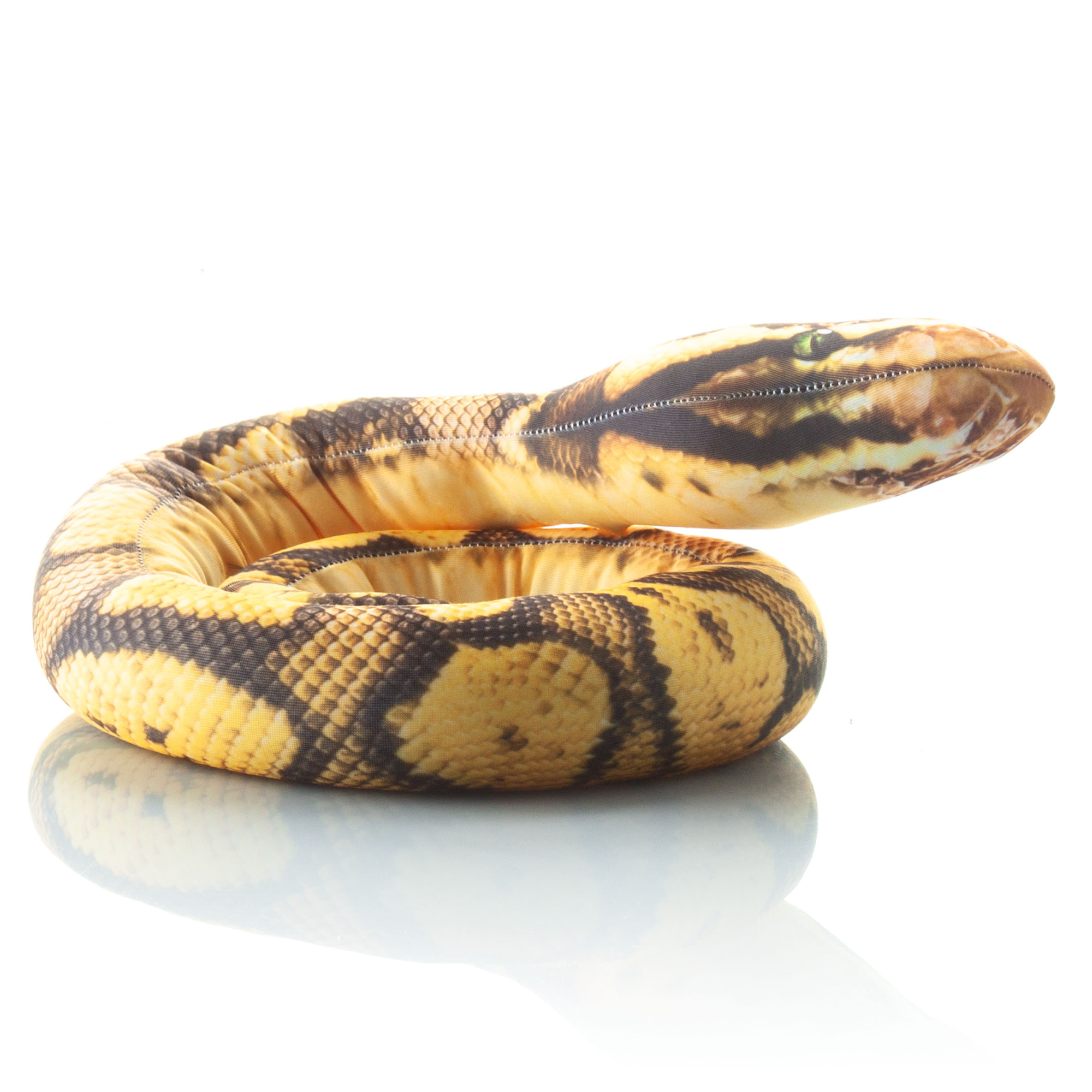 518 Настоящая малая змея Тигровая Анастасия 3